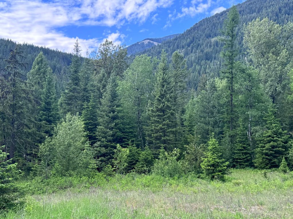 Image 83 of property listing at 189 Blue Creek Road, Heron, MT 59844