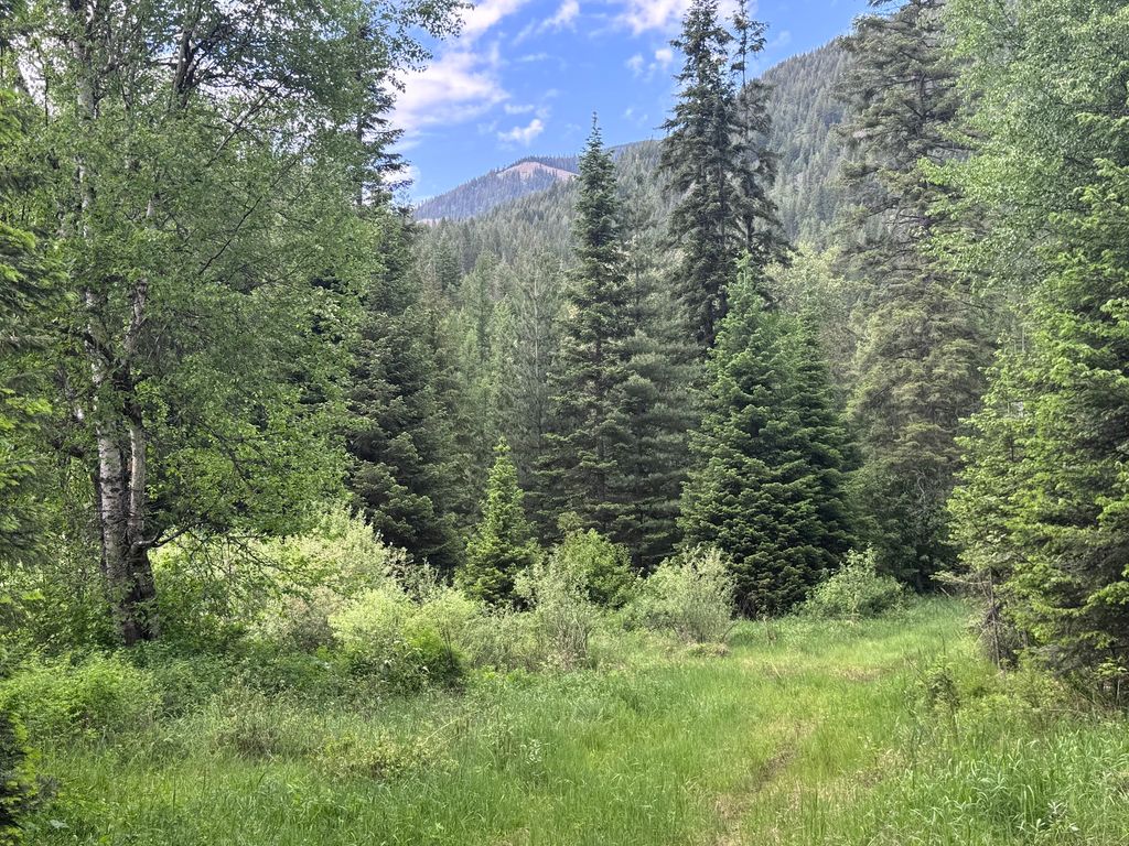 Image 84 of property listing at 189 Blue Creek Road, Heron, MT 59844