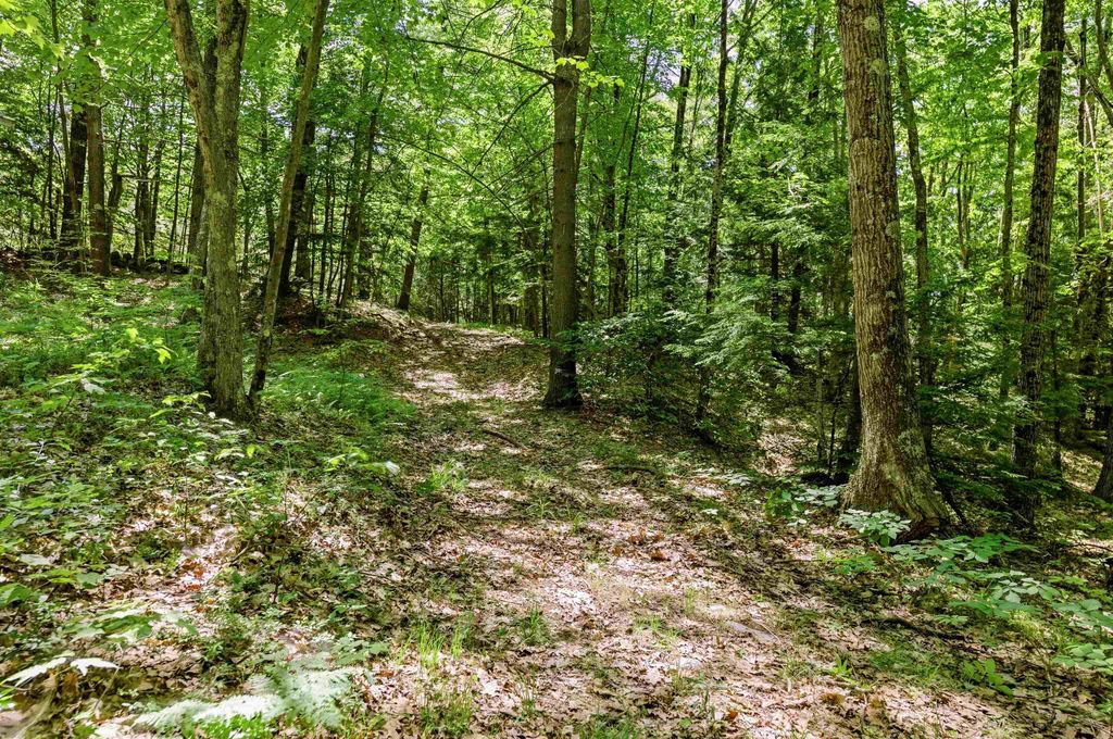 Image 10 of property listing at 158 Temple Road, Sharon, NH 03458