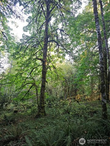 2540 xxx E North Island Drive, Shelton, WA 98584