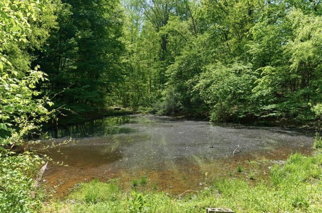 1550 Little Bartons Creek Rd, Cumberland Furnace, TN 37051