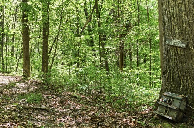 1550 Little Bartons Creek Rd, Cumberland Furnace, TN 37051