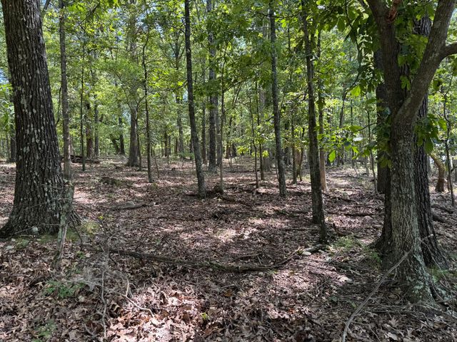 000 Tbd County Road 946, Squires, MO 65755