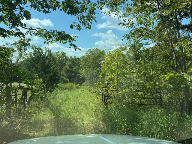 000 Tbd County Road 946, Squires, MO 65755