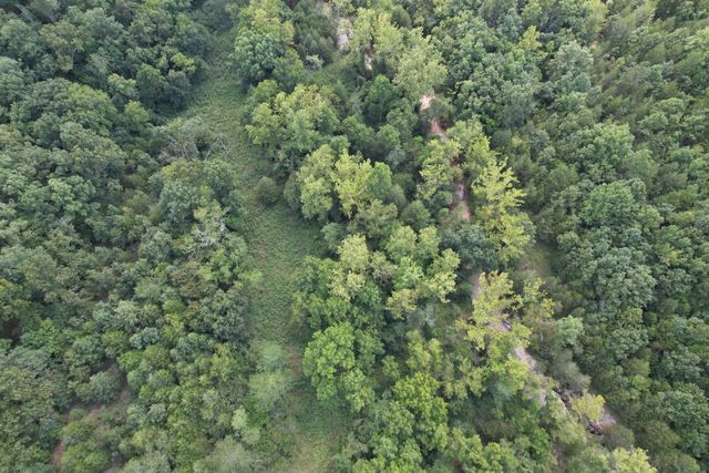 000 Tbd County Road 946, Squires, MO 65755