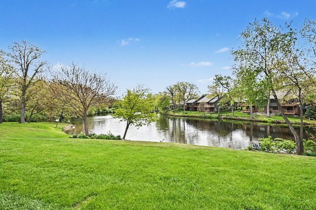 53 Village Woods Drive, Crete, IL 60417
