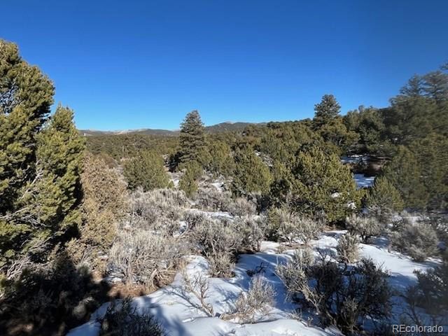 7860 Platten Rd, Fort Garland, CO 81133