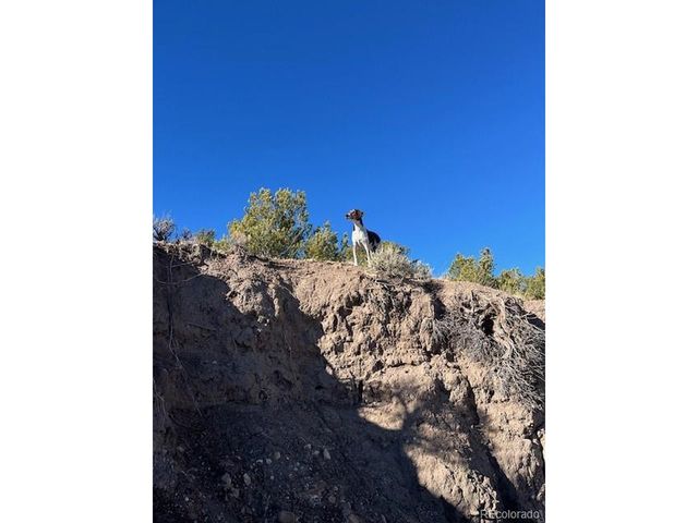 7860 Platten Rd, Fort Garland, CO 81133