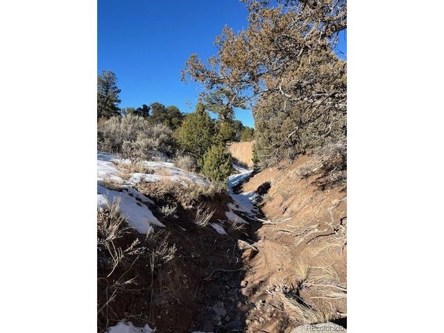 7860 Platten Rd, Fort Garland, CO 81133