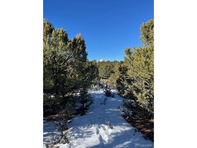 7860 Platten Rd, Fort Garland, CO 81133