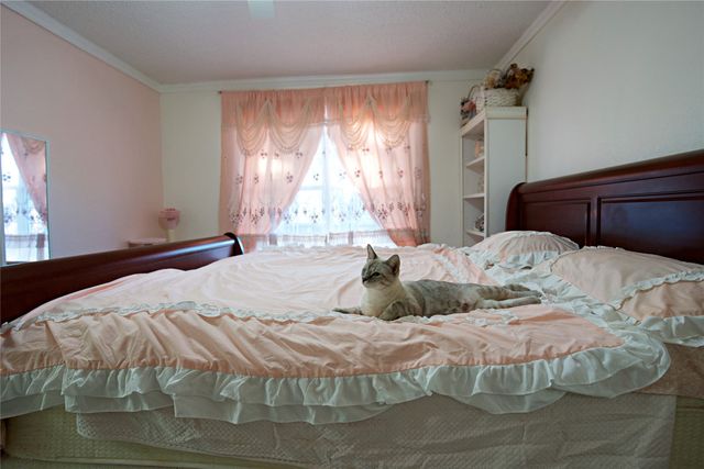 2025 High Bluff Drive, Garland, TX 75041