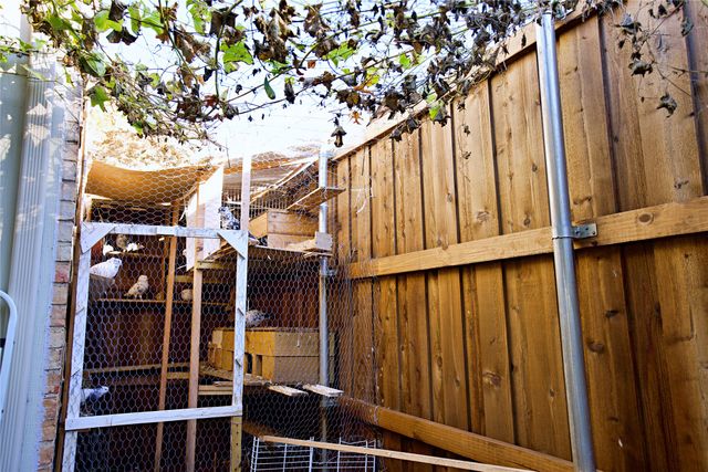 2025 High Bluff Drive, Garland, TX 75041