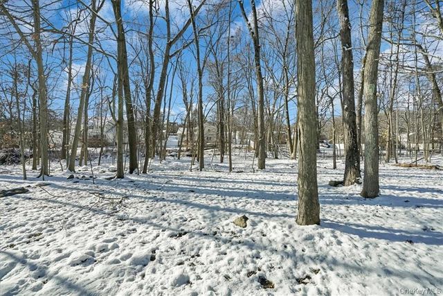 36 Ironworks Road, Monroe, NY 10950