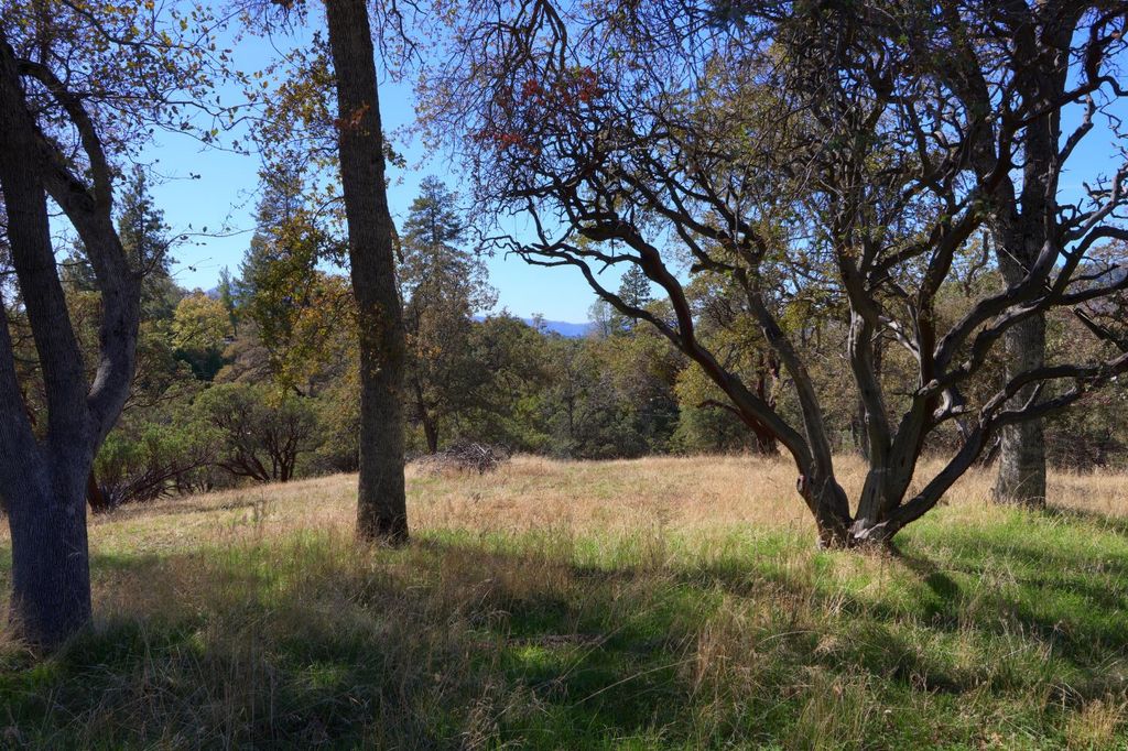 Image 11 of property listing at 42997 E Mountain View Lane, Oakhurst, CA 93644