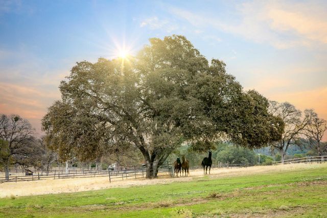 8813 Hayes Ln, Smartsville, CA 95977