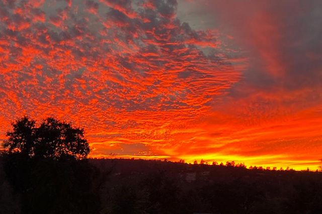 8813 Hayes Ln, Smartsville, CA 95977