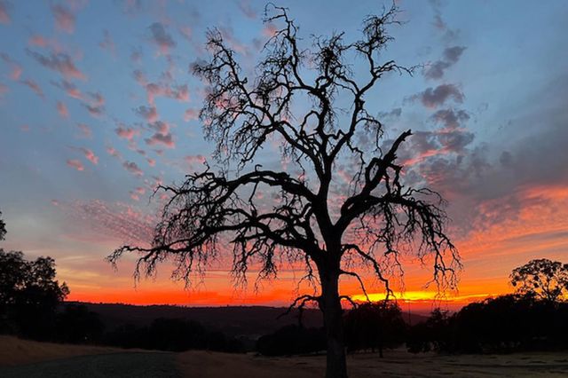 8813 Hayes Ln, Smartsville, CA 95977