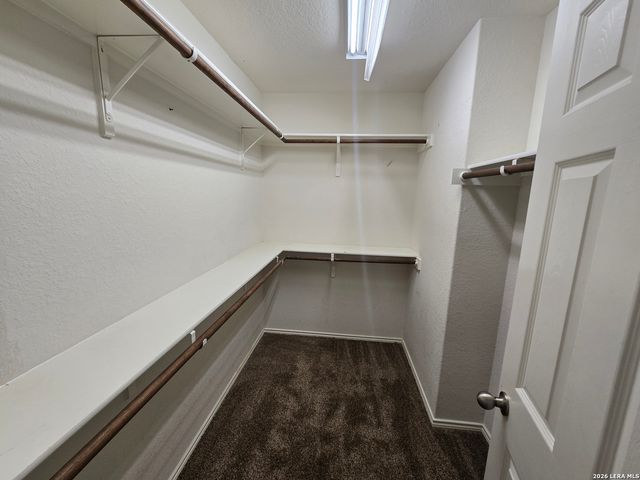 11614 Wayward Daisy, San Antonio, TX 78245
