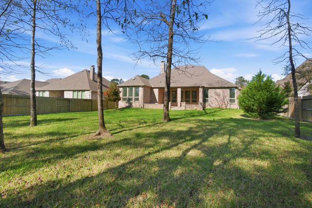 326 Irenic Mist Court, Willis, TX 77318