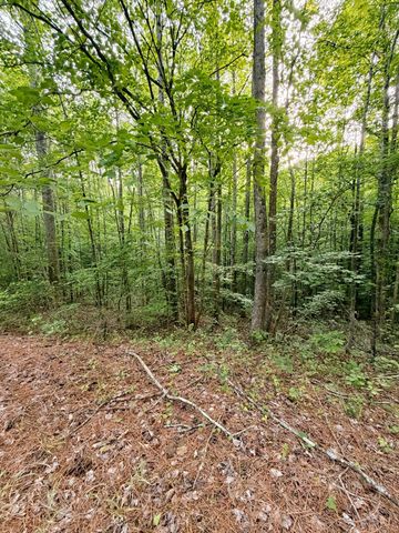 0 Allen Bend Rd, Smithville, TN 37166