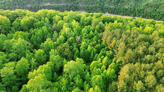 0 Allen Bend Rd, Smithville, TN 37166