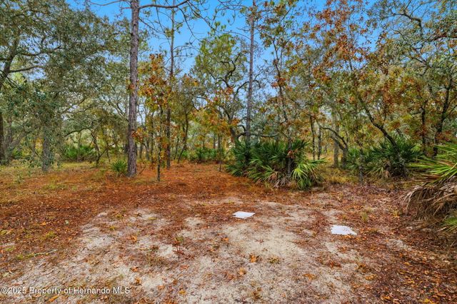 15297 Myland Road, Weeki Wachee, FL 34614