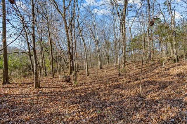 0 Smithson Rd, College Grove, TN 37046