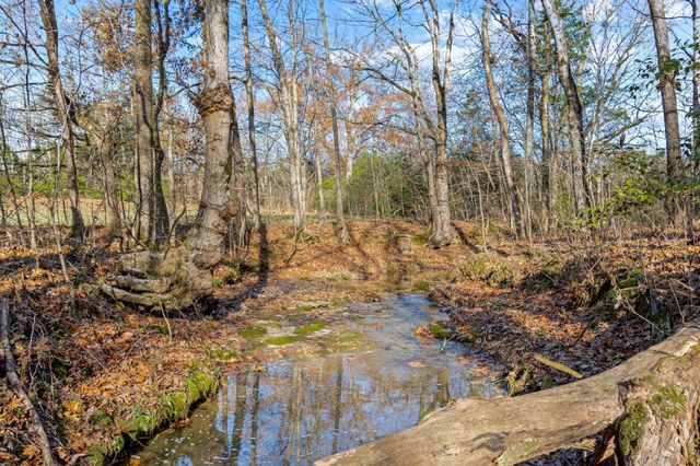 0 Smithson Rd, College Grove, TN 37046