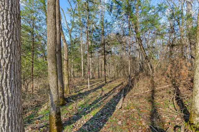 0 Smithson Rd, College Grove, TN 37046