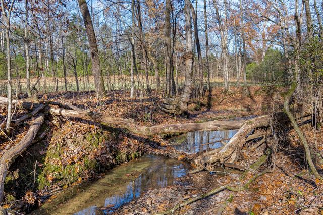 0 Smithson Rd, College Grove, TN 37046