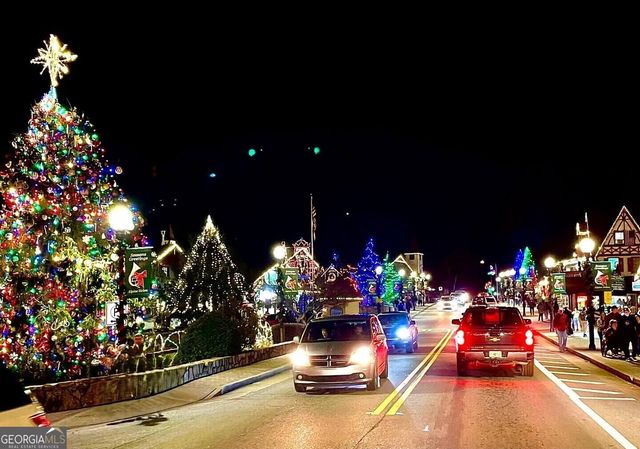 265 Bahn Erlenbruck, Helen, GA 30545