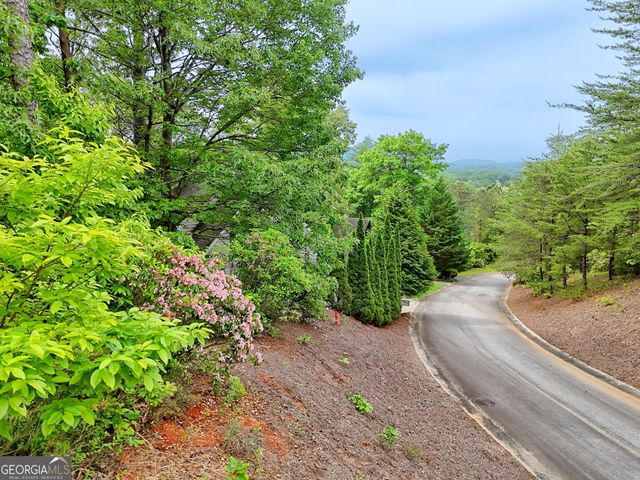 265 Bahn Erlenbruck, Helen, GA 30545