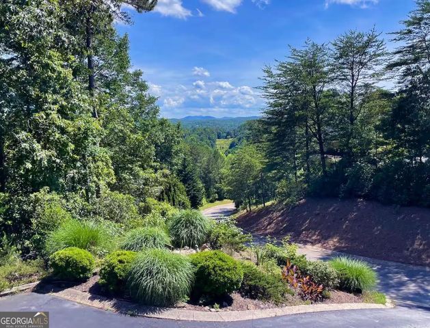 265 Bahn Erlenbruck, Helen, GA 30545