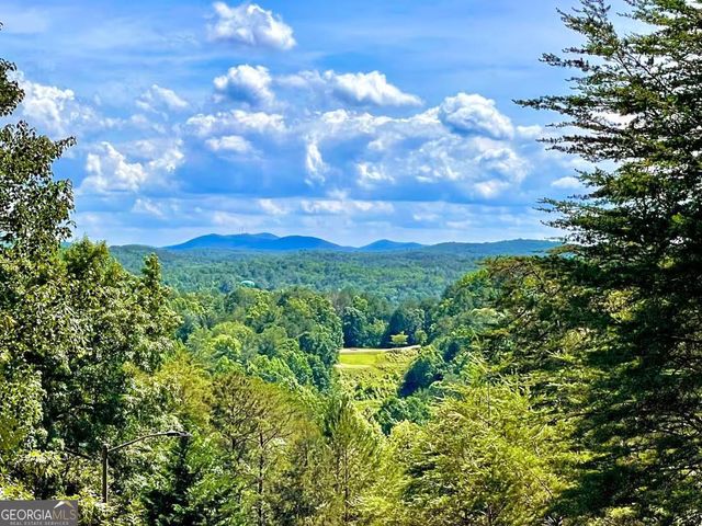 265 Bahn Erlenbruck, Helen, GA 30545