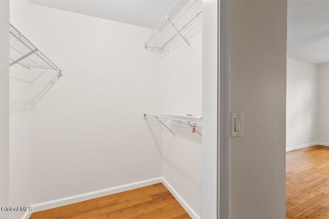 21 Peterson Court, Troy, NY 12180