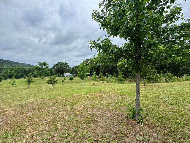 3610 Rushing Road, Dover, AR 72837