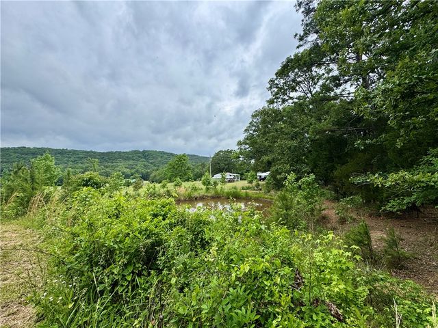 3610 Rushing Road, Dover, AR 72837
