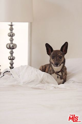 1360 N Crescent Heights Boulevard 3C, West Hollywood, CA 90046