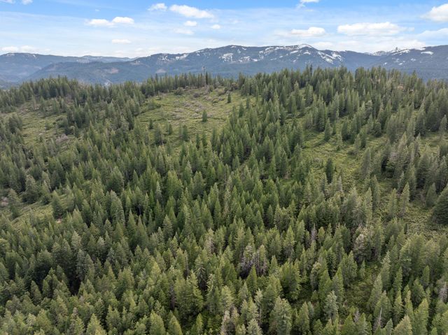 2120 Pack Trail, Mount Shasta, CA 96067