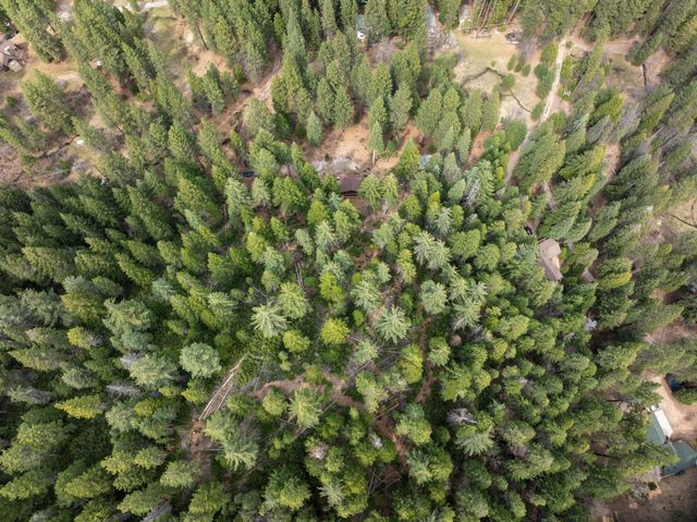 2120 Pack Trail, Mount Shasta, CA 96067