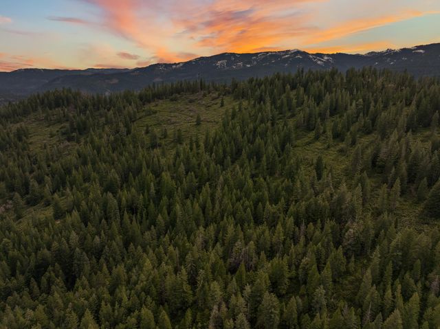 2120 Pack Trail, Mount Shasta, CA 96067
