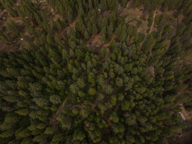 2120 Pack Trail, Mount Shasta, CA 96067