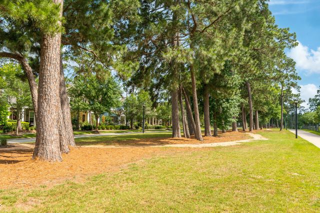 143 Kendrick Pines Boulevard, Spring, TX 77389