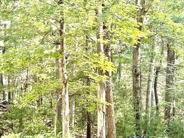 20 Algonquin Road, Canton, MA 02021