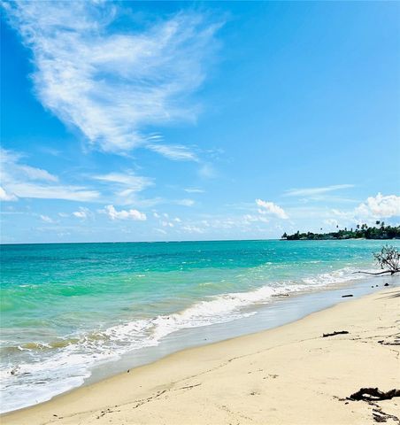 187 SECTOR EL MARTILLO, BARRIO MEDIANIA ALTA F-304, Loiza, PR 00772