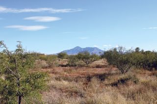 10300 E Vista Monanas Road 4, Hereford, AZ 85615