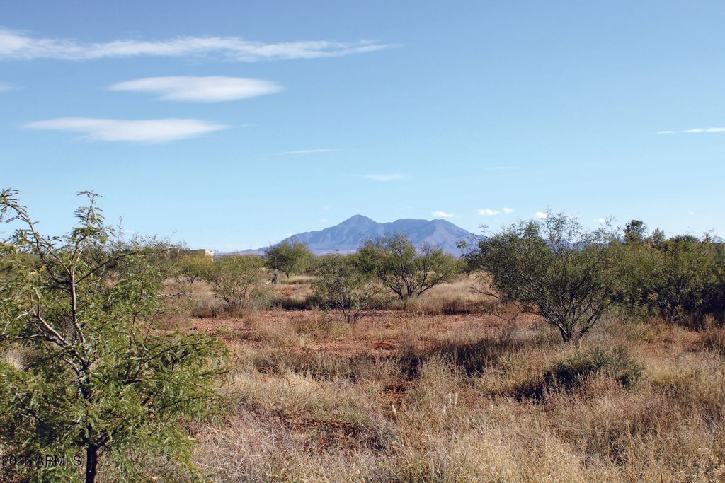 10300 E Vista Monanas Road 4, Hereford, AZ 85615
