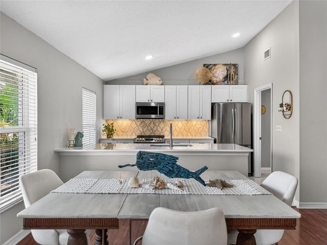 603 CHAUTAUQUA DRIVE, Mount Dora, FL 32757