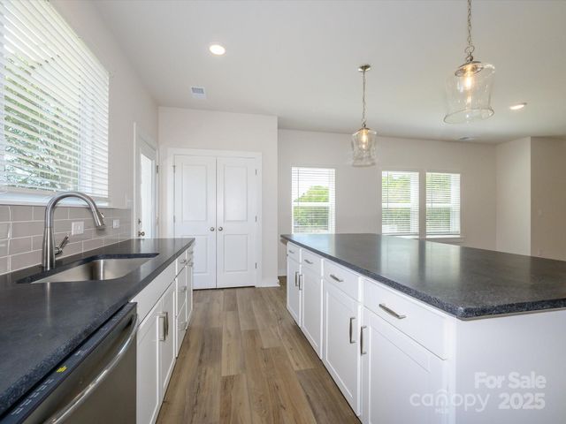 1120 Bismuth Lane, Charlotte, NC 28211