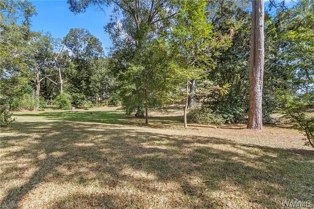 5204 Applewood, Northport, AL 35473